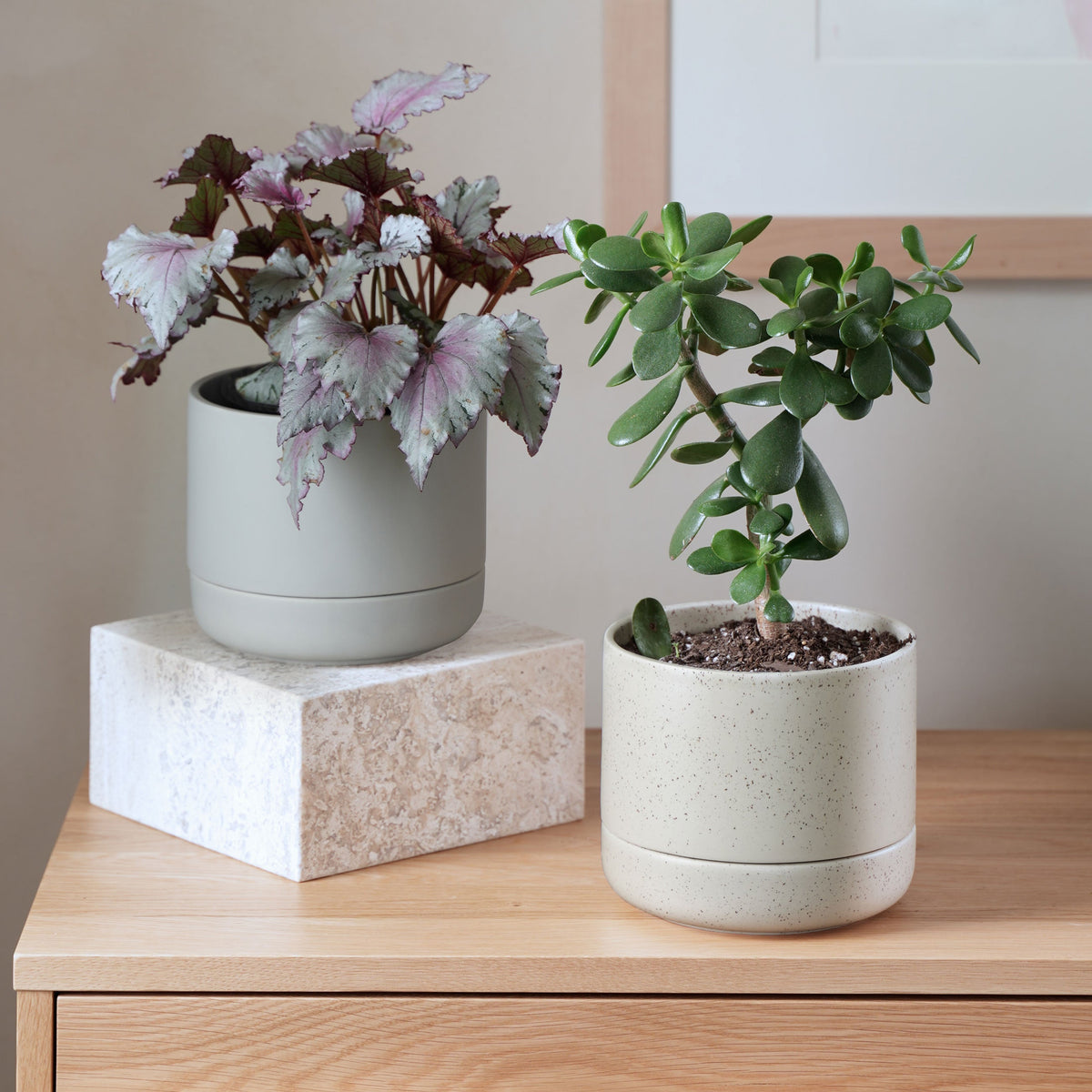Franklin 17 Ceramic Self Watering Pot