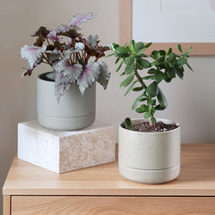 Franklin 17 Ceramic Self Watering Pot